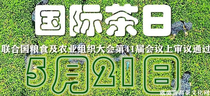 一山一味||同一款茶，兩次品茗？